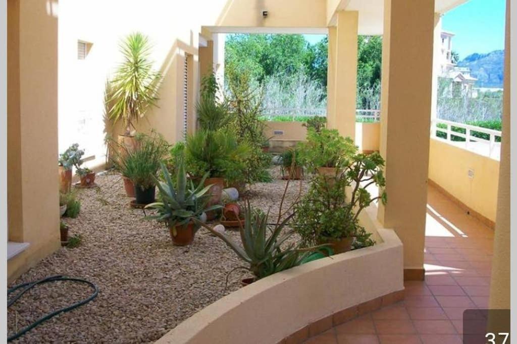 Met&Golf Oliva Nova Beach Exterior photo